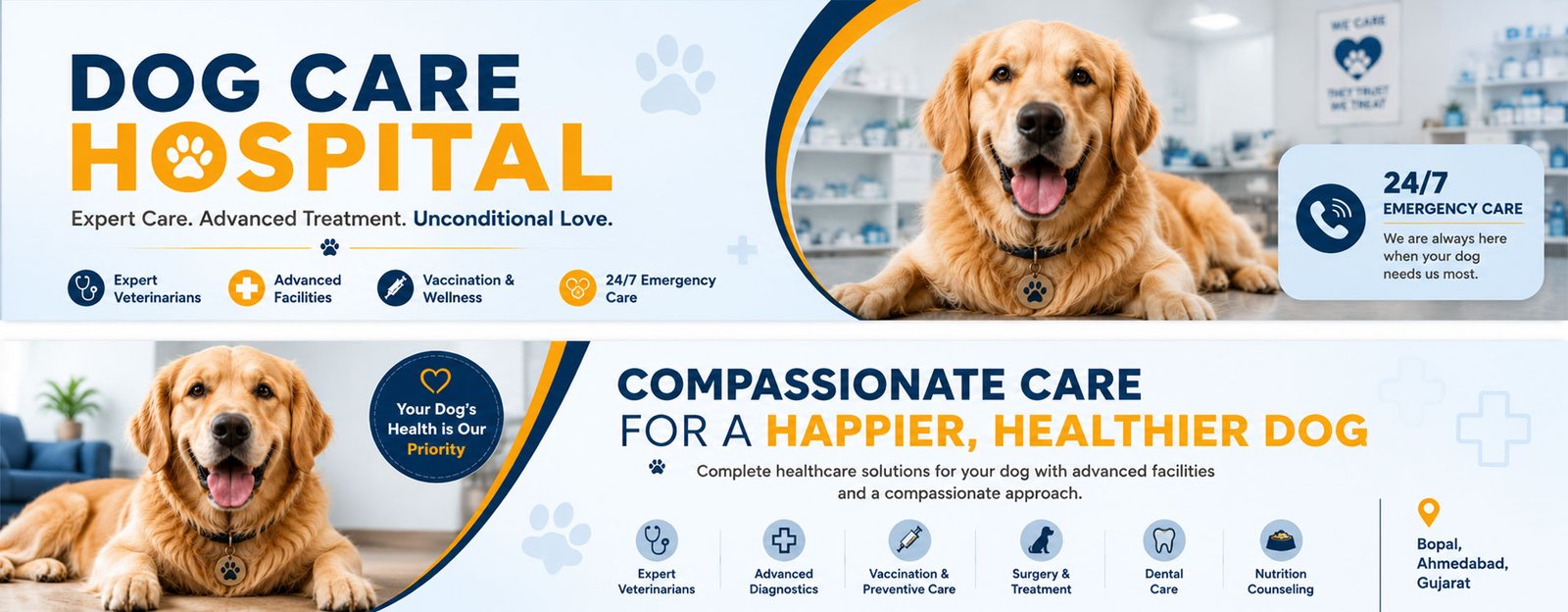 Citypetanimal Pet Care